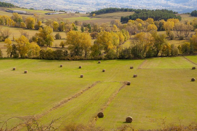 Cerdanya: Un paradís natural entre muntanyes i valls